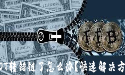 
t p钱包转USDT转错链了怎么办？快速解决方法与用户指南