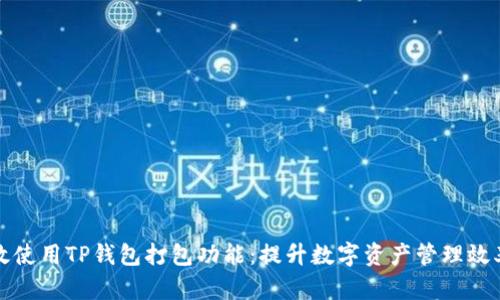 如何有效使用TP钱包打包功能:提升数字资产管理效率的秘诀