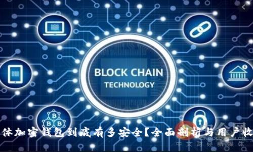 实体加密钱包到底有多安全?全面剖析与用户收益