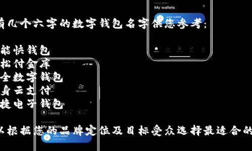 这里有几个六字的数字钱包名字供您参考：

1. 智能快钱包
2. 轻松付金库
3. 安全数字钱包
4. 随身云支付
5. 便捷电子钱包

您可以根据您的品牌定位及目标受众选择最适合的名字。