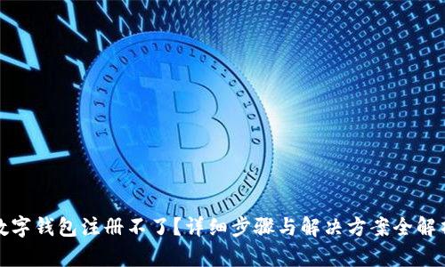 数字钱包注册不了?详细步骤与解决方案全解析