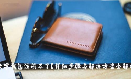数字钱包注册不了?详细步骤与解决方案全解析