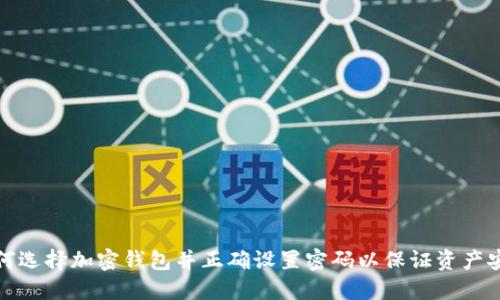 如何选择加密钱包并正确设置密码以保证资产安全