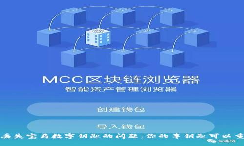 解决苹果钱包丢失宝马数字钥匙的问题:你的车钥匙可以重新找回的方案