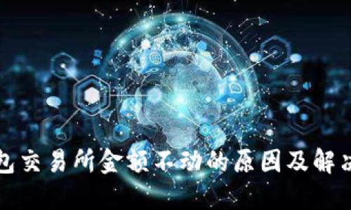 TP钱包交易所金额不动的原因及解决方法