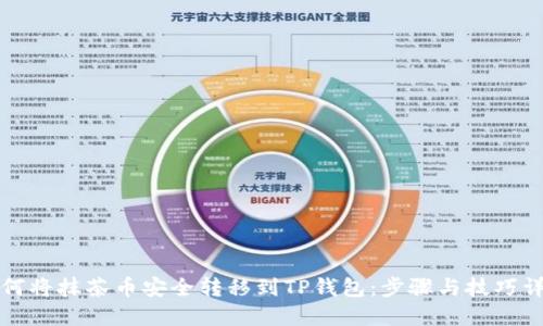 如何将抹茶币安全转移到TP钱包:步骤与技巧详解
