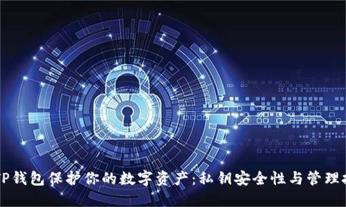 用TP钱包保护你的数字资产:私钥安全性与管理技巧