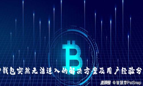 TP钱包突然无法进入的解决方案及用户经验分享