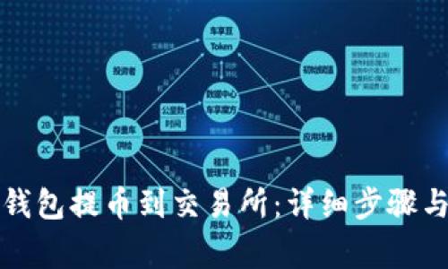 如何将TP钱包提币到交易所:详细步骤与注意事项