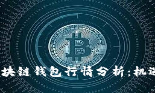 2023年TP区块链钱包行情分析：机遇与挑战并存