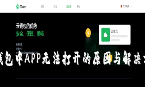 TP钱包中APP无法打开的原因与解决方案