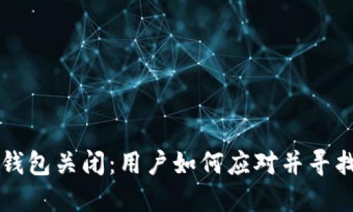 工商数字钱包关闭:用户如何应对并寻找替代方案