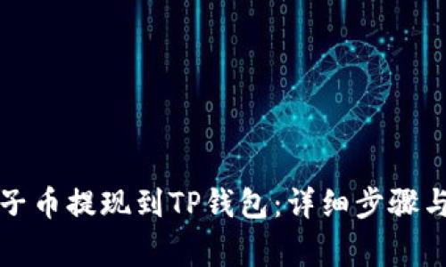 如何将柚子币提现到TP钱包:详细步骤与注意事项