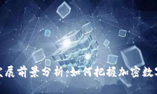 TP钱包未来发展前景分析:如何把握加密数字资产的机遇