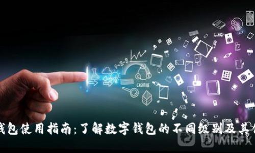 数字钱包使用指南:了解数字钱包的不同级别及其优缺点