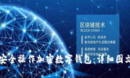 如何安全操作加密数字钱包:详细图文指南