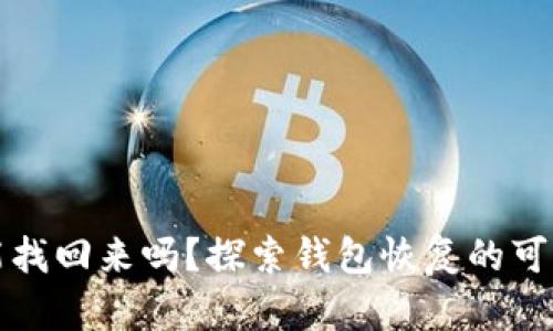 TP钱包清除后能找回来吗?探索钱包恢复的可能性和实用技巧