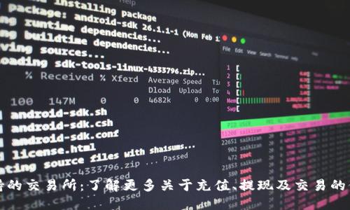 TP钱包支持的交易所：了解更多关于充值、提现及交易的价值与收益