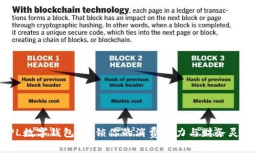 BNPL数字钱包:解锁你的消费潜力与财务灵活性