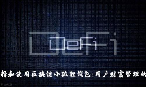如何选择和使用区块链小狐狸钱包:用户财富管理的新利器