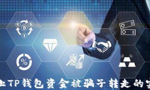 如何防止TP钱包资金被骗子转走的实用指南