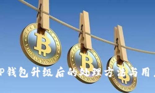 揭秘TP钱包升级后的处理方法与用户价值