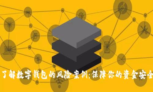 了解数字钱包的风险案例:保障你的资金安全