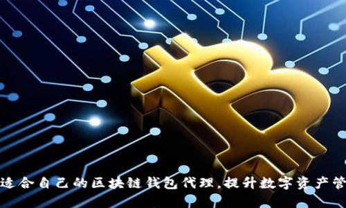 如何选择适合自己的区块链钱包代理,提升数字资产管理的效率