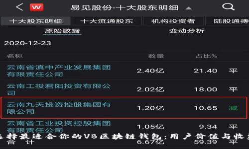 如何选择最适合你的VB区块链钱包:用户价值与收益分析
