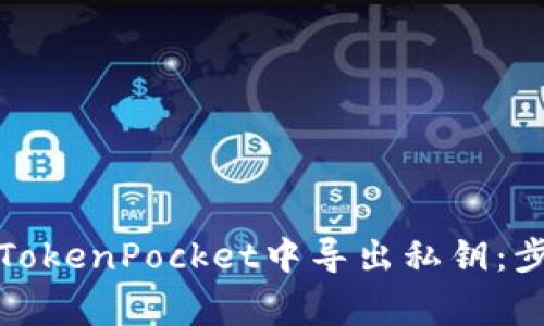 如何安全地在TokenPocket中导出私钥:步骤与注意事项