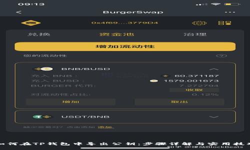 如何在TP钱包中导出公钥:步骤详解与实用技巧