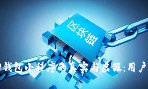 区块链找回钱包小程序的真实与虚假:用户需谨慎对待
