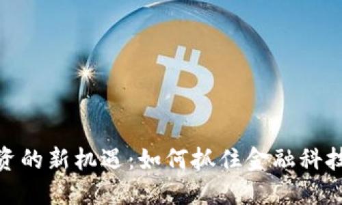 数字钱包融资的新机遇:如何抓住金融科技发展的浪潮