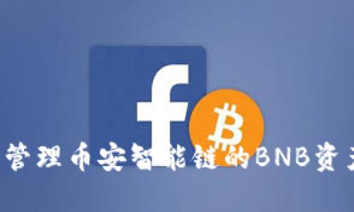 如何利用TP钱包管理币安智能链的BNB资产,提升投资价值