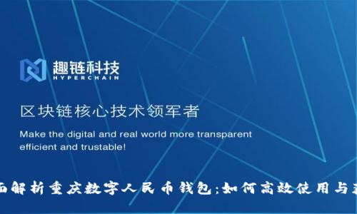 全面解析重庆数字人民币钱包:如何高效使用与获益