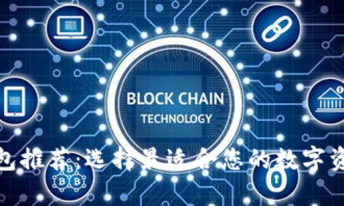 数字货币钱包推荐:选择最适合您的数字资产存储方案