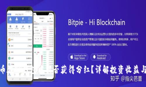波场币在TP钱包中能否获得分红?详解投资收益与风险