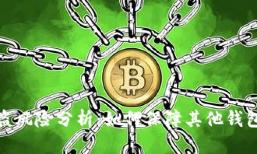 TP钱包被盗风险分析：如何保障其他钱包的安全性