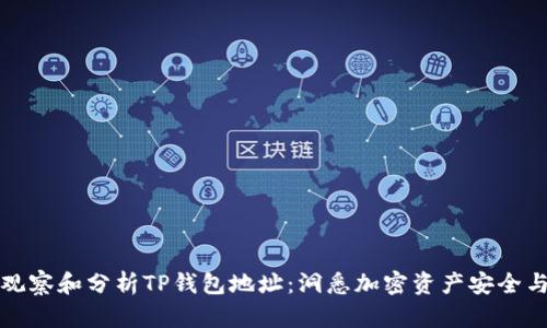 如何有效观察和分析TP钱包地址：洞悉加密资产安全与交易动态