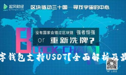 哪个数字钱包支持USDT?全面解析及最佳选择