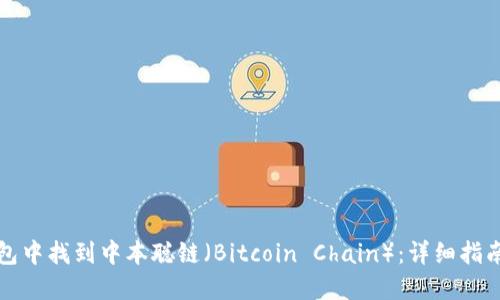 如何在TP钱包中找到中本聪链(Bitcoin Chain):详细指南与实用技巧