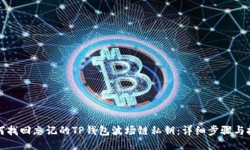 如何找回忘记的TP钱包波场链私钥:详细步骤与技巧