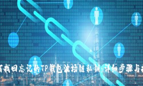 如何找回忘记的TP钱包波场链私钥:详细步骤与技巧
