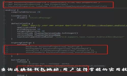 如何高效查询区块链钱包地址:用户值得掌握的实用技巧和工具