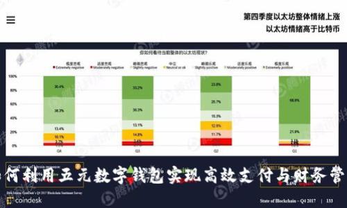 如何利用五元数字钱包实现高效支付与财务管理