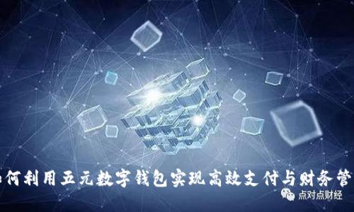 如何利用五元数字钱包实现高效支付与财务管理