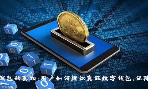 揭开数字钱包的真相:用户如何辨识真假数字钱包,保障财产安全