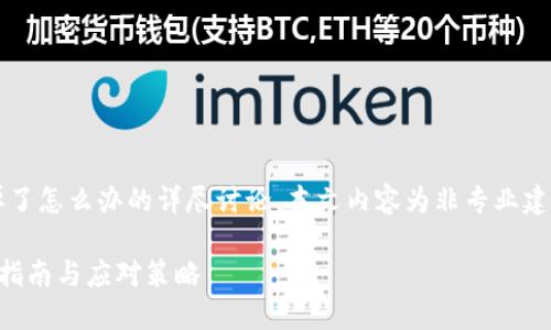注意：以下是关于t p钱包私钥掉了怎么办的详尽讨论，本文内容为非专业建议，请务必自行谨慎评估和决策。

TP钱包私钥丢失了怎么办？全面指南与应对策略