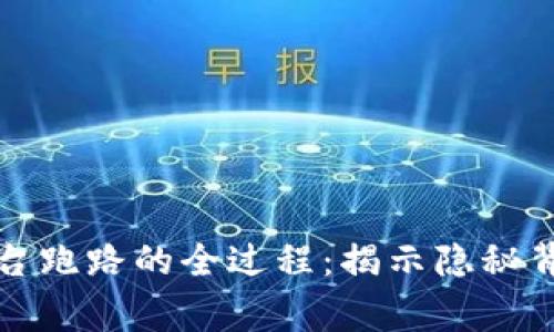 探秘数字钱包平台跑路的全过程：揭示隐秘背后的风险与警示