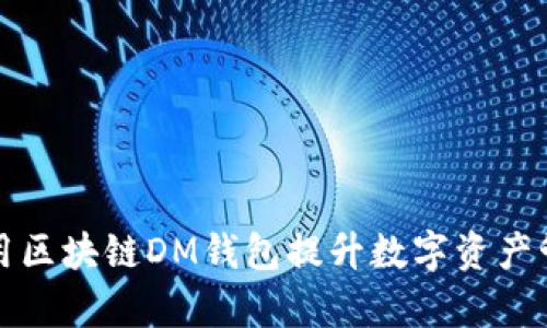 如何使用区块链DM钱包提升数字资产管理效率